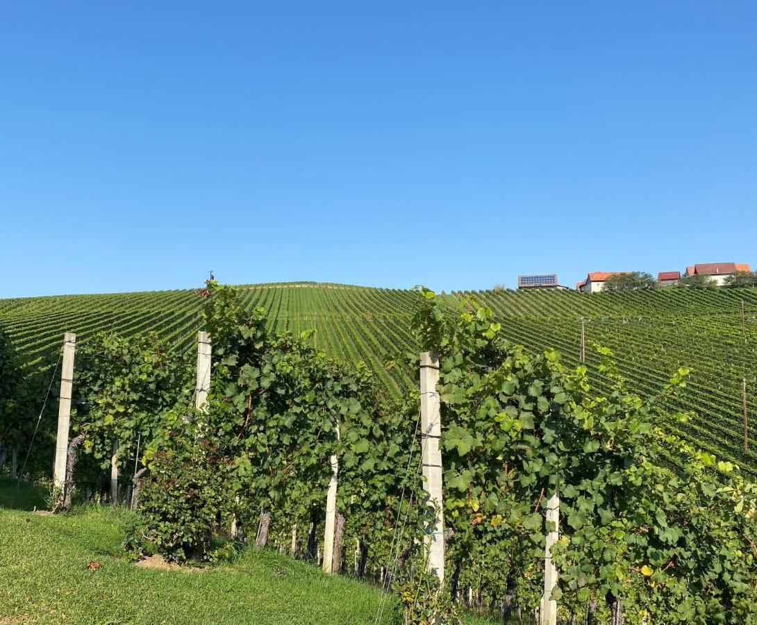 Wein Kultur Apartment Flavia Solva Wagna Exterior photo