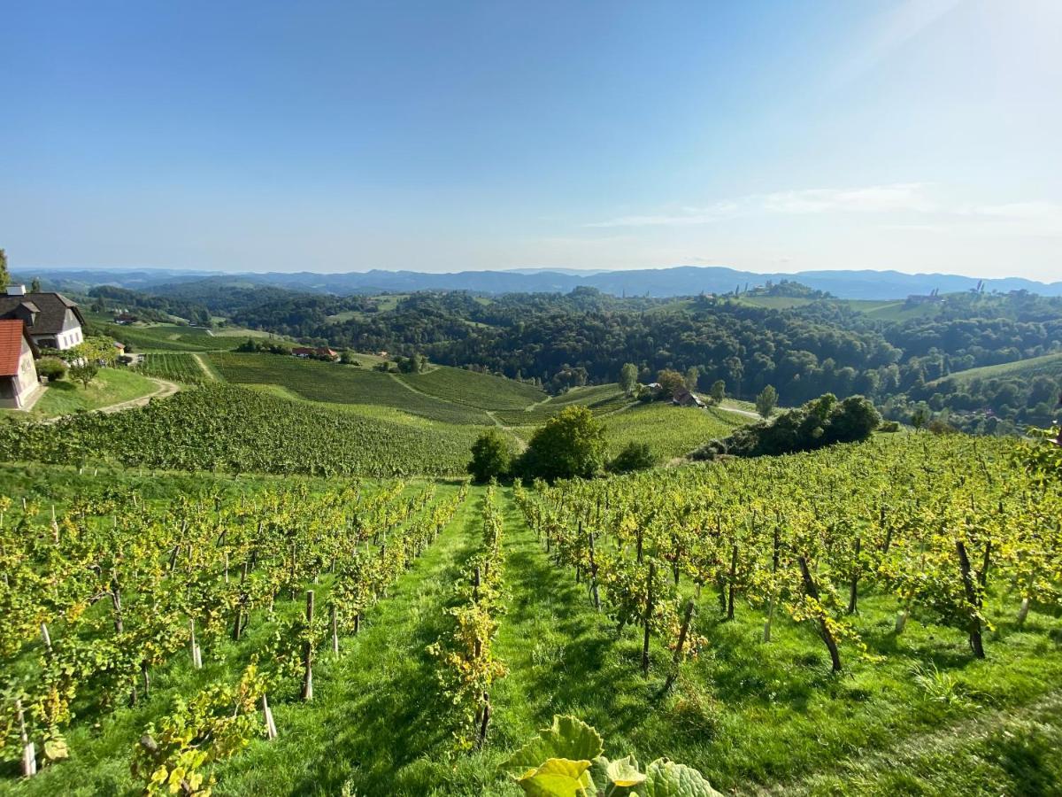 Wein Kultur Apartment Flavia Solva Wagna Exterior photo